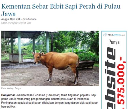 Populasi Ternak Sapi Di Indonesia