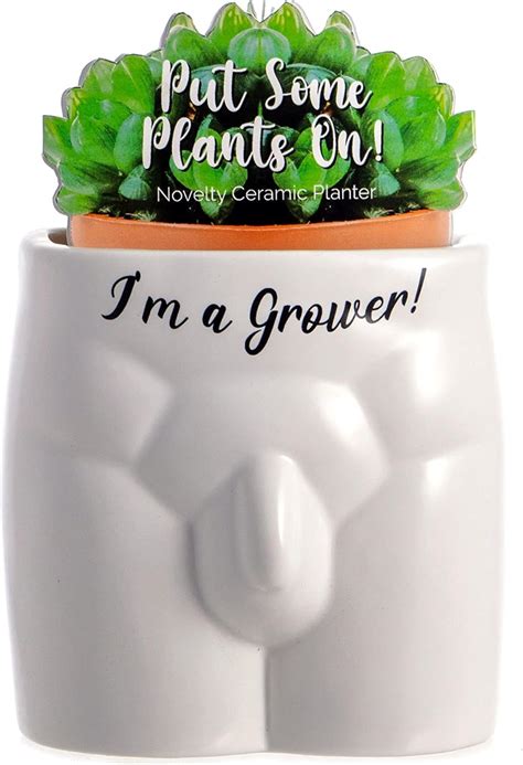 Amazon Boxer Gifts Grower Novelty Body Shaped Plant Pot Funny