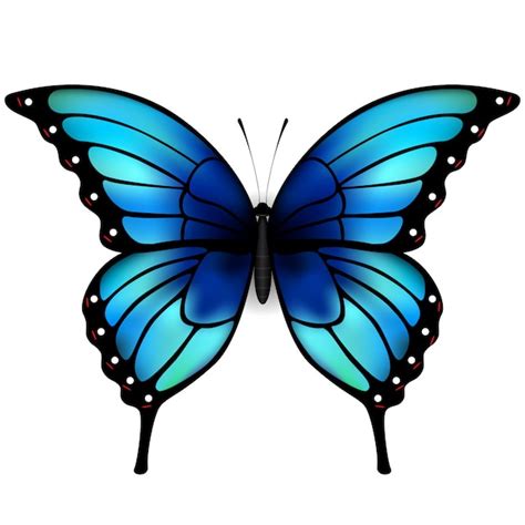 Mariposa Con Grandes Alas Azules Sobre Fondo Blanco Vector Premium