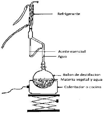 Extracción y caracterización del aceite esencial de hojas