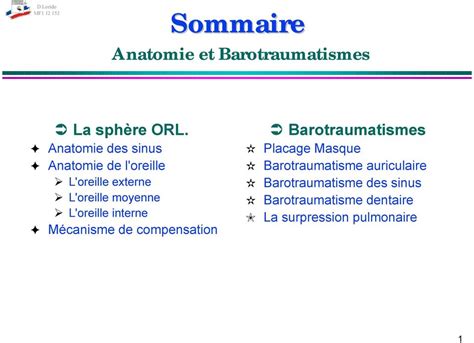 Sommaire Anatomie et Barotraumatismes La sphère ORL Anatomie des