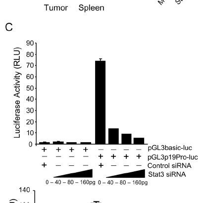 Stat And Nf B P Synergistically Enhance Il Expression By