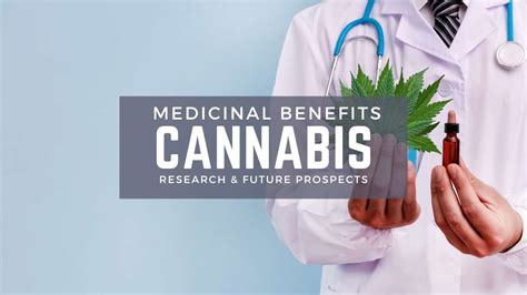 Medicinal Benefits of Cannabis: Current Research and Future Prospects - GrowMarijuana.Guide