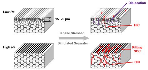 Metals Free Full Text Stresscorrosion Cracking Of Aisi 316l