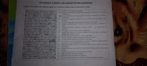 encuentra las palabras según los conceptos dados sobre la estructura