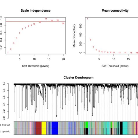 Wgcna Analysis A The Soft Threshold Selection Including The