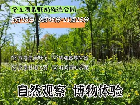 活动招募！自然笔记，科普导赏，手工游戏 国际生物多样性日，走进环城生态公园带成为守护者~ 澎湃号·政务 澎湃新闻 The Paper