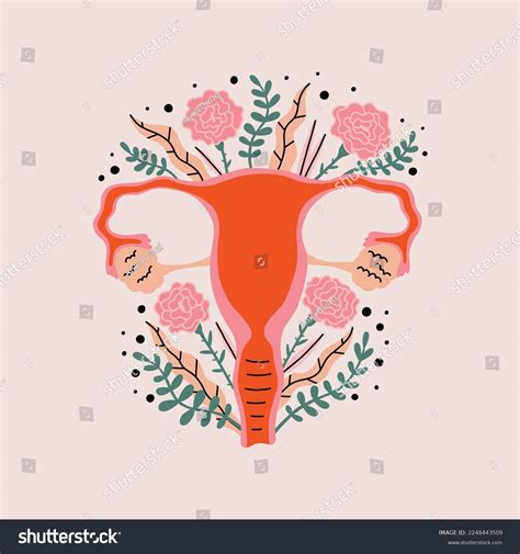 Female Reproductive System Stylized Flowers Plants Stock Vector