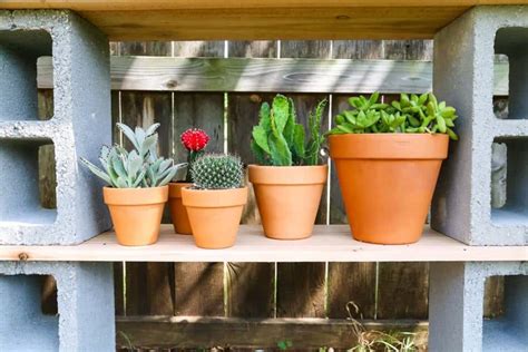 Easy Cinder Block Shelves Perfect For Plants Love Renovations