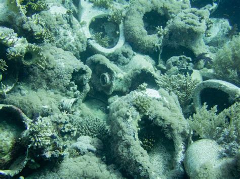 Shark Reef and Yolanda Reef - CertiDive | Your Passport to underwater ...