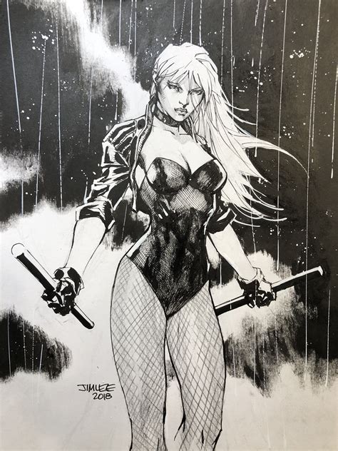 Black Canary Draw Jim Lee Jim Lee Art Jim Lee Comics Girls