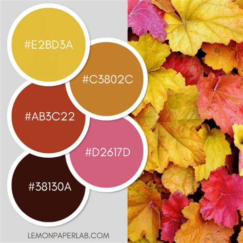 Fall Color Palette Ideas Lemon Paper Lab