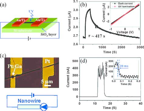 A Schematic Of A Zno Nw Uv Photodetector Device Structure With Ohmic