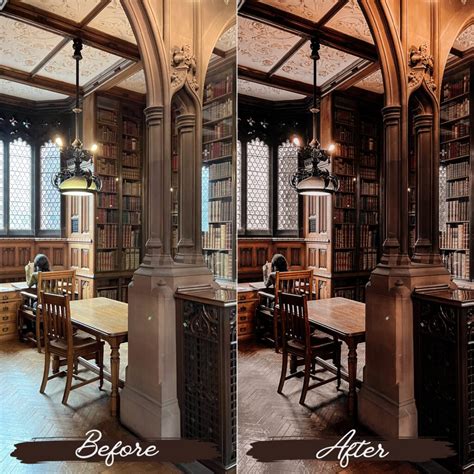 Dark Academia Lightroom Presets MEpresets