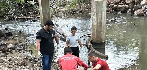 Corpo De Homem Encontrado Embaixo De Ponte Na Br Em Mato Grosso