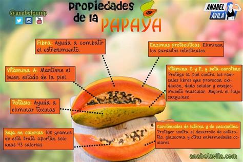 Medicina Natural Propiedades De La Papaya