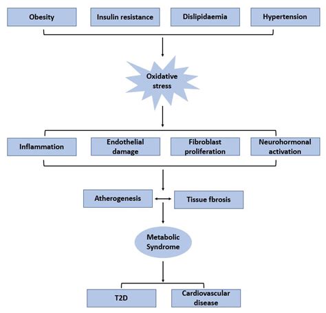 Sex Related Effects Of Gut Microbiota In Metabolic Syndrome Related Diabetic Retinopathy