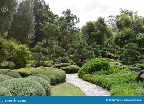 Japanese Zen Garden With Bonsai And Path Stock Photo Image Of Japan