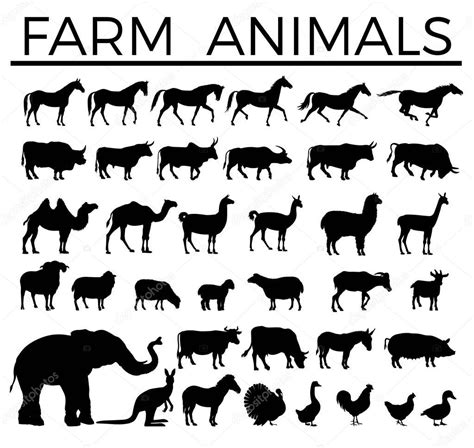 Farm Animals Silhouettes — Stock Vector © Newgena 176048784