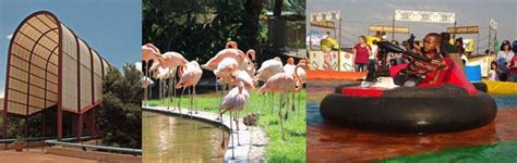 Activities For Pretoria Kids Pretoria