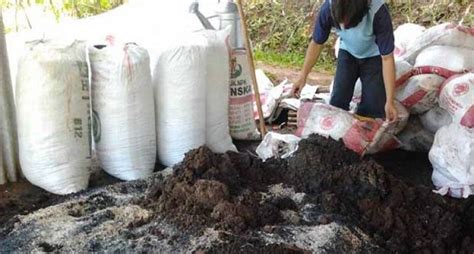 Pekebun Diajak Produksi Pupuk Dan Pestisida Ramah Lingkungan