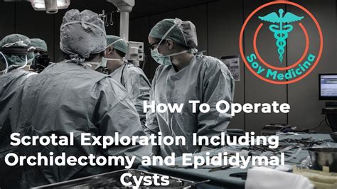 How To Operate Scrotal Exploration Including Orchidectomy And