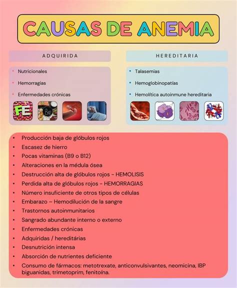 Causas De Anemia Javier Rios UDocz