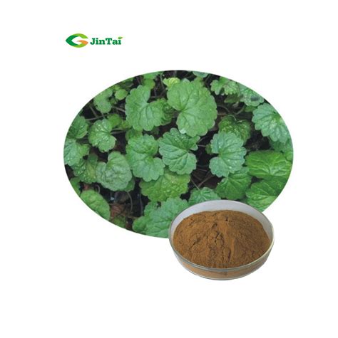 Pure Gotu Kola Extract Centella Asiatica Powder Madecassoside