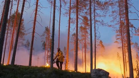 Globala Målen För Barn Mål 13 Bekämpa Klimatförändringarna Film