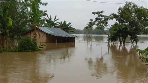 North East Floods 5 Reasons Why Assam Floods Year After Year