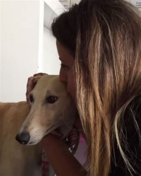 Cachorro vítima de maus tratos nunca foi beijado em toda sua vida até