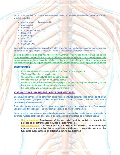 Solution Anatomia Ucsm Vias Medulares Fase Studypool