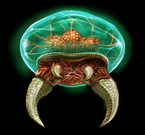 Metroid Larva Artofit