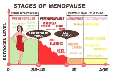 estrogen level chart - Menopause Beauty - Wellness