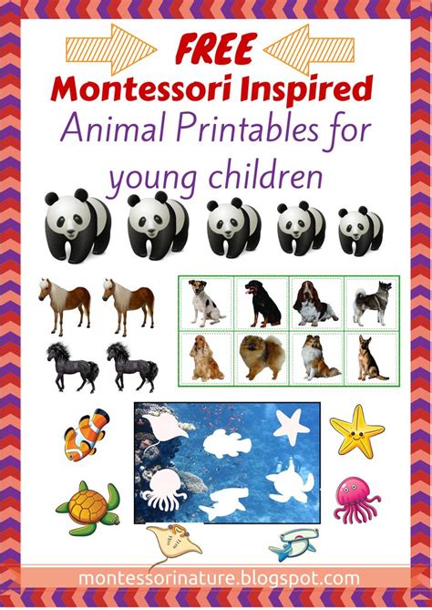 328 Best Montessori Free Printables And Downloads Images On Pinterest