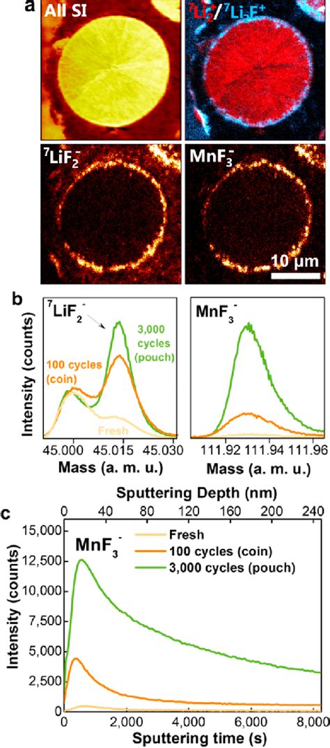 Active Mass Dissolution On Cycled Ncm Cathodes A Illustrative