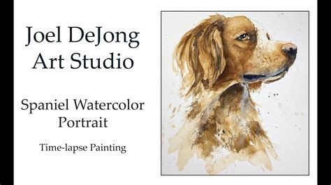 Spaniel Watercolor Portrait Time Lapse Painting Demo Tutorial Youtube