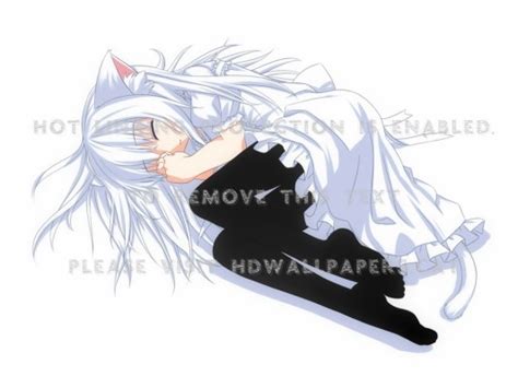 Taking Nap Neko Girl White Cute Dress Cat Napping Cat Girl Anime 1024x768 Wallpaper