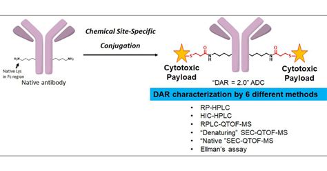 Antibody Drug Conjugates In Solid Tumors Published In Off