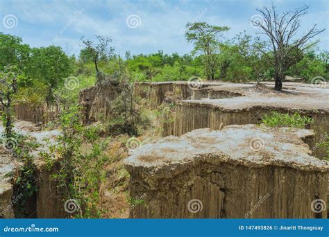 El Paisaje Hermoso De Corrientes A Trav S De La Tierra Tiene La Erosi N