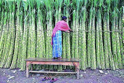 Tamil Nadu Seeks Centres Help To Bail Out Ailing Sugar Mills Economy