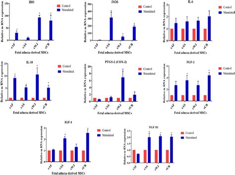 Relative MRNA Expressions Fold Change Of Immunomodulatory Molecules