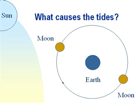 What Causes The Tides