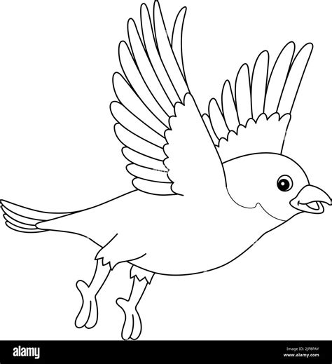 Mountain Bluebird Coloring Page