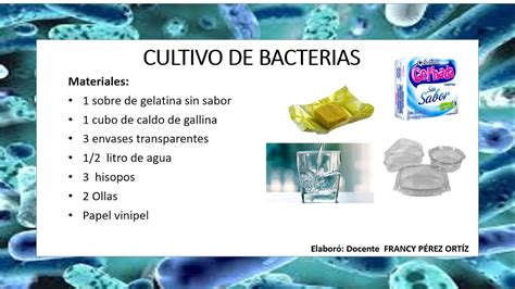 Laboratorio Cultivo De Bacterias Youtube