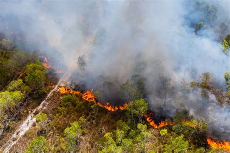 Faep Alerta Para Aumento De Inc Ndios Florestais Que J Passam De