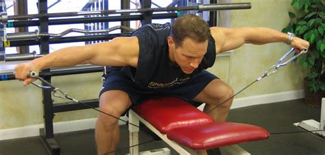 Seated Rear Lateral Cable Raises Shoulder Exercise Guide