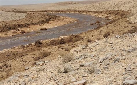 Acid leak threatens plants, wildlife in Judean Desert | The Times of Israel