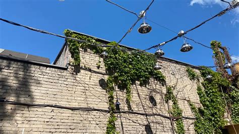 Æden Club In Berlin Ein Wichtiges Signal Für Die Clubkultur