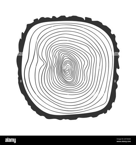 Tree Growth Ring Icon In Doodle Style Trunk Cross Section To Determine